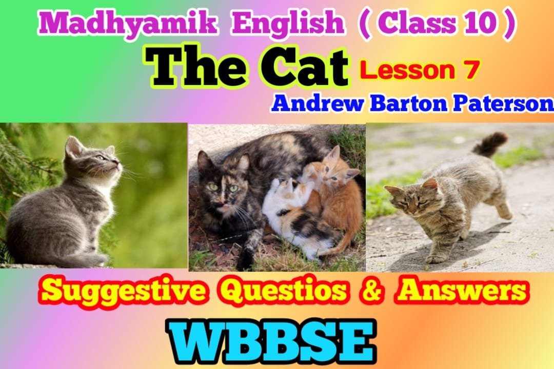 The Cat Questions And Answers Class 10 customer-support-question-and-answer-bubble-chat-3d-illustration