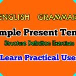 Simple Present Tense Definition Structure and Examples