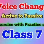 Class 7 Active Passive Voice Change Exercises and Answers