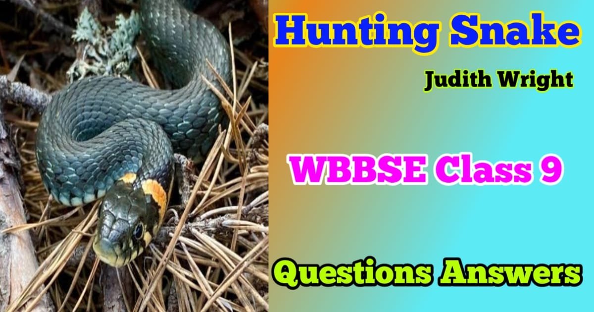 Hunting Snake Class 9 Questions Answers and Bengali Meaning