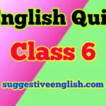 Class 6 English Grammar Quiz with Answers