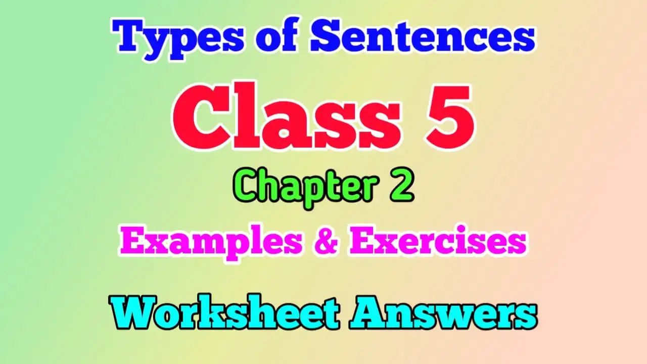 Types of Sentences Class 5 English Grammar Worksheet