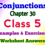 Conjunctions Class 5 English Grammar