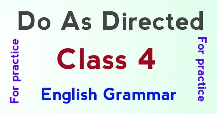 english grammar exercises class 4