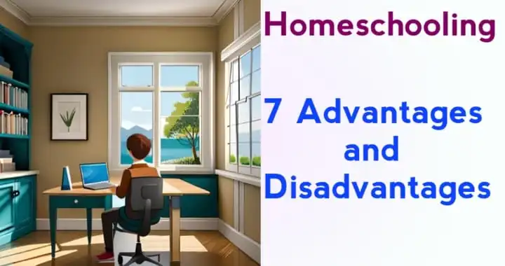 7 Homeschooling advantages and disadvantages