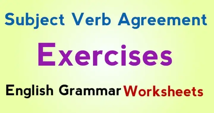 subject verb assignment