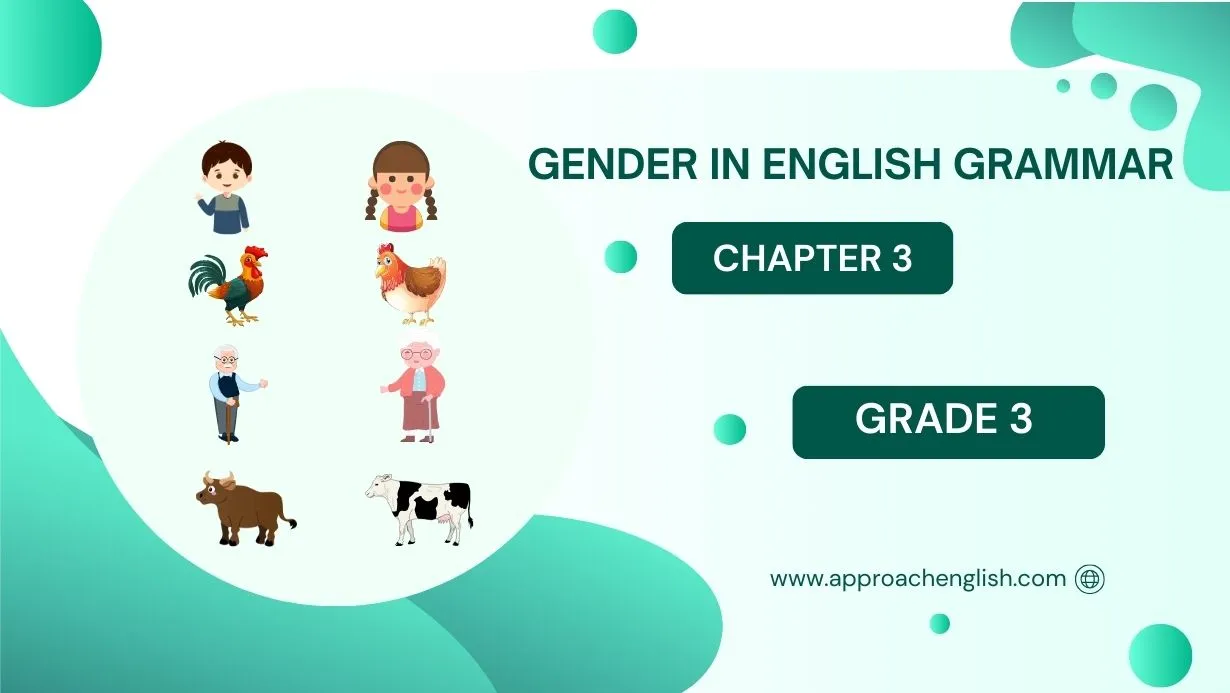 gender equality essay for class 3