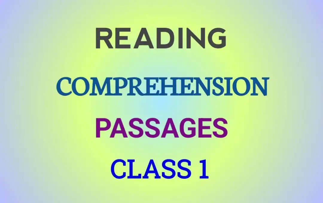 Worksheets for practice approach english grammar cbse icse wbbse