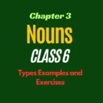 Nouns for Class 6: Types Examples and Exercises