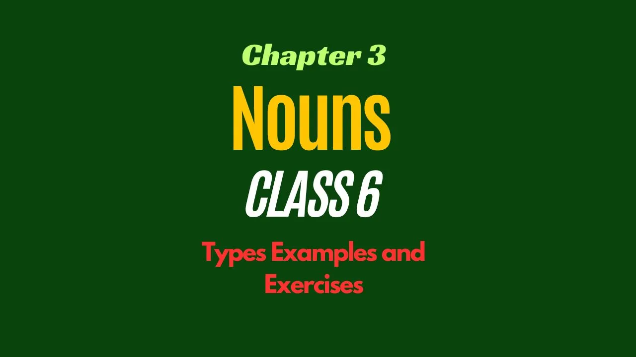 assignment of noun for class 6