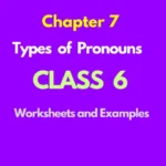 Types of Pronouns Worksheet with Answers Class 6