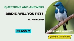 Birdie Will You Pet by W. Allingham Questions and Answers
