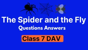 The Spider and the Fly Questions Answers Class 7 DAV